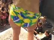 Festa de Carnaval do Brasil